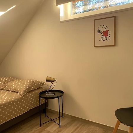 Appartement Dans Une Grange Renovee Strasbourg Extérieur photo